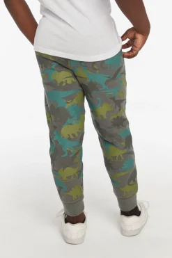 Chaser Brand Dino Camo Boys Pant Sale