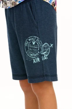 Chaser Brand Disney 100 -