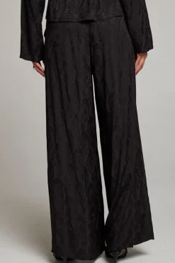 Chaser Brand Journey Licorice Pant Online