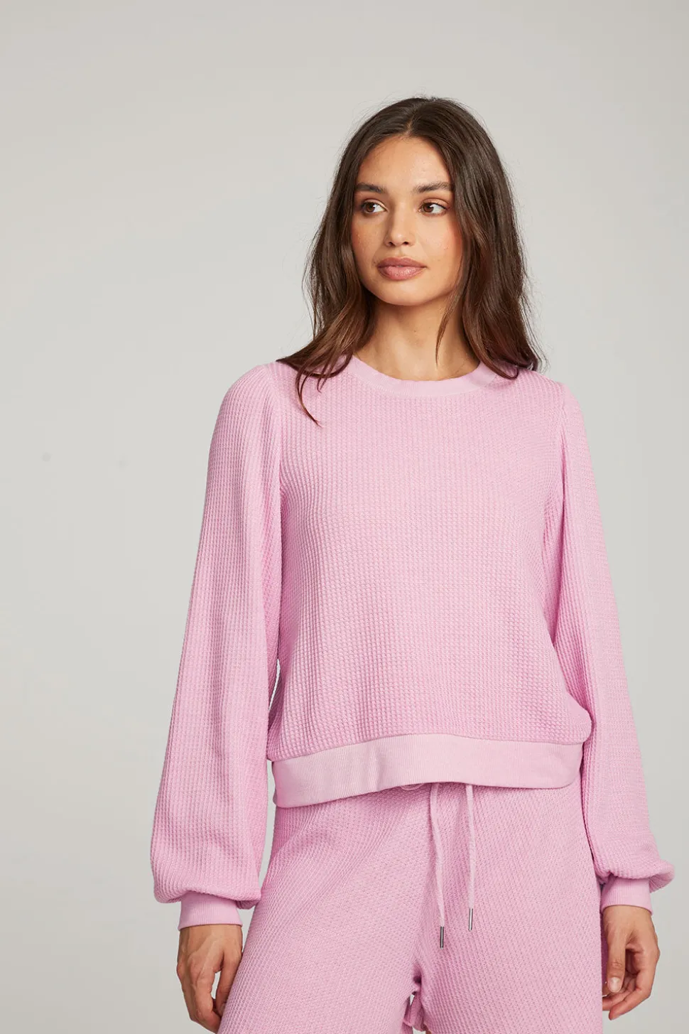 Chaser Brand Owlsey Pastel Lavender Pullover Best Sale