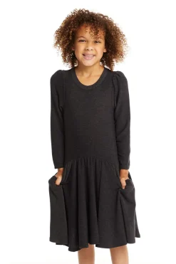 Chaser Brand Puff Black Licorice Long Sleeve Dress With Twirl Skirt Shop