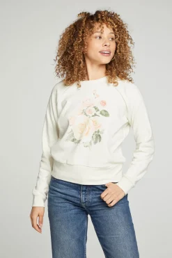 Chaser Brand Roses Discount