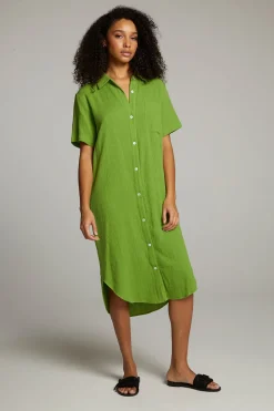 Chaser Brand Sebastian Piquant Green Button Down Discount